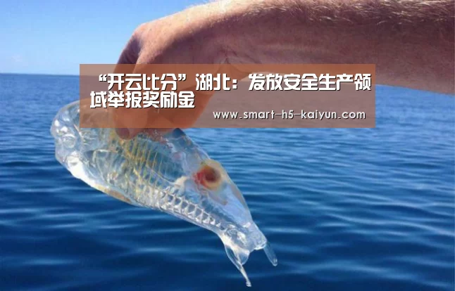 “开云比分”湖北:发放安全生产领域举报奖励金(图3) 开云体育官方入口